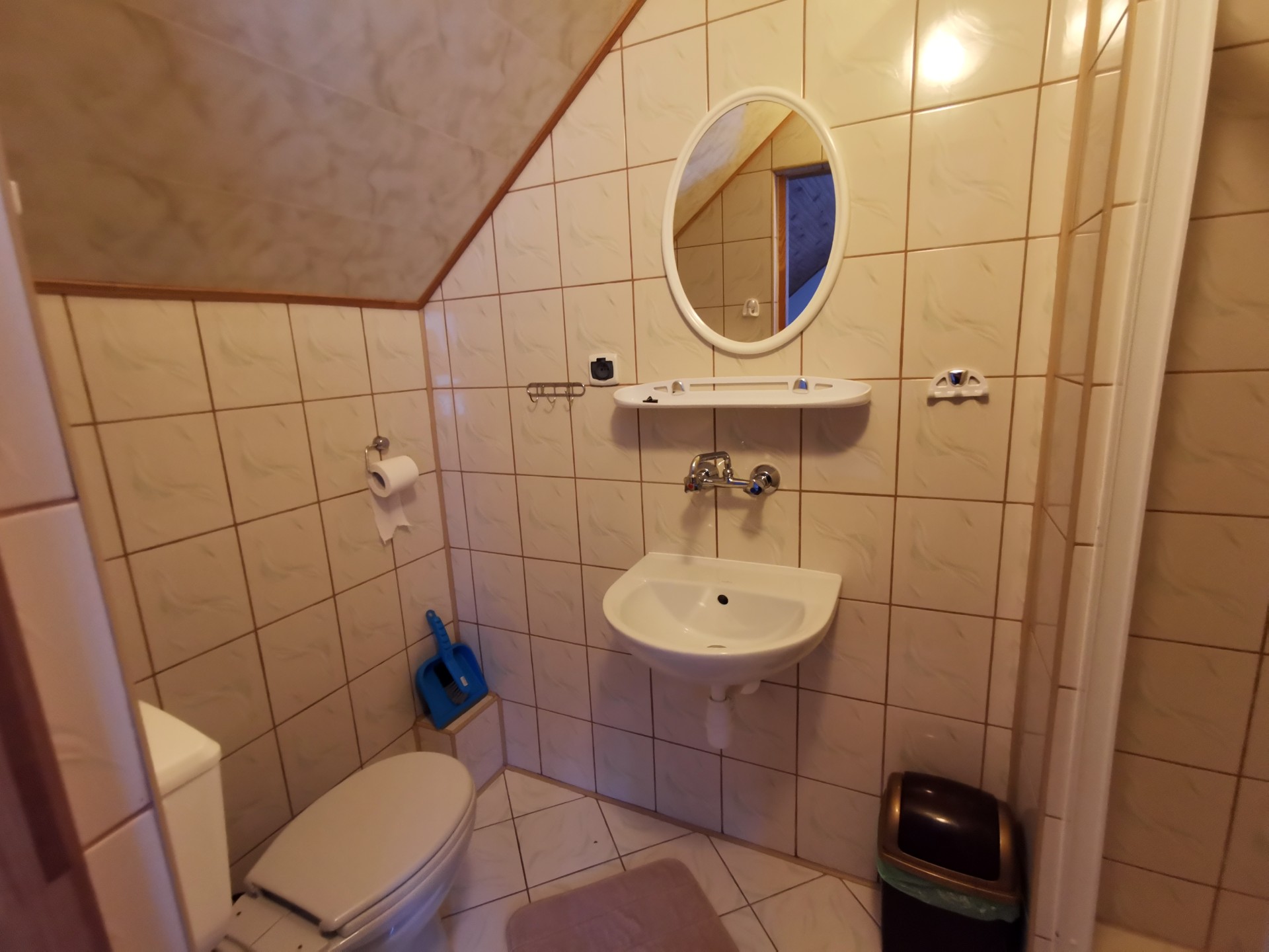 Zjęcie 5