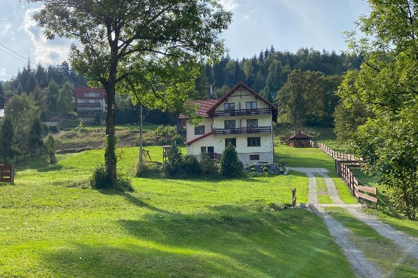 Zdjęcie 12