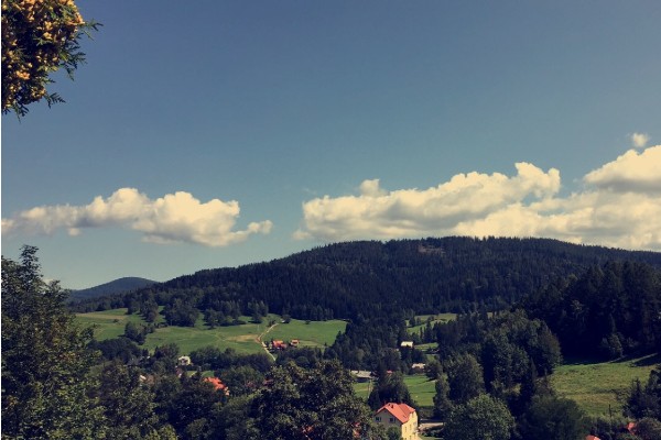 Zdjęcie 24