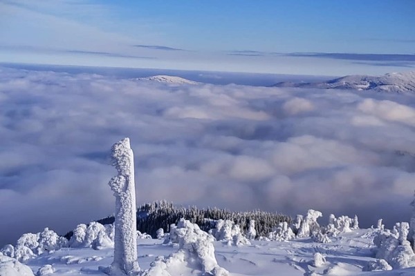 Zdjęcie 30